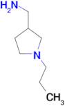 1-(1-propylpyrrolidin-3-yl)methanamine