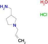 [(1-Allyl-3-pyrrolidinyl)methyl]amine hydrochloride hydrate