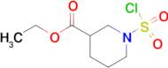 ethyl 1-(chlorosulfonyl)-3-piperidinecarboxylate