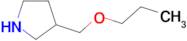 3-(propoxymethyl)pyrrolidine