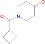 1-(cyclobutylcarbonyl)-4-piperidinone