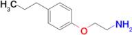 2-(4-propylphenoxy)ethanamine