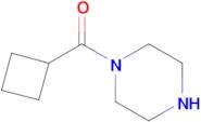 1-(cyclobutylcarbonyl)piperazine