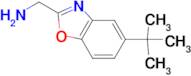 [(5-tert-butyl-1,3-benzoxazol-2-yl)methyl]amine