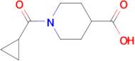 1-(cyclopropylcarbonyl)-4-piperidinecarboxylic acid