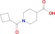 1-(cyclobutylcarbonyl)-4-piperidinecarboxylic acid