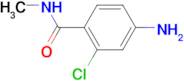 4-amino-2-chloro-N-methylbenzamide