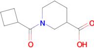 1-(cyclobutylcarbonyl)-3-piperidinecarboxylic acid