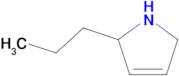 2-propyl-2,5-dihydro-1H-pyrrole