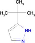 3-tert-butyl-1H-pyrazole