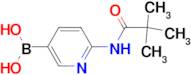 {6-[(2,2-dimethylpropanoyl)amino]-3-pyridinyl}boronic acid