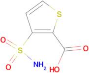 3-(aminosulfonyl)-2-thiophenecarboxylic acid