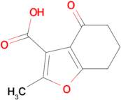 2-methyl-4-oxo-4,5,6,7-tetrahydro-1-benzofuran-3-carboxylic acid