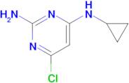 6-chloro-N~4~-cyclopropyl-2,4-pyrimidinediamine