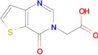 (4-oxothieno[3,2-d]pyrimidin-3(4H)-yl)acetic acid