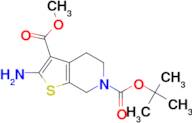 6-tert-butyl 3-methyl 2-amino-4,7-dihydrothieno[2,3-c]pyridine-3,6(5H)-dicarboxylate