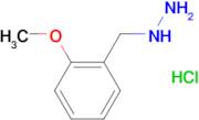 (2-methoxybenzyl)hydrazine hydrochloride