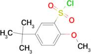 5-tert-butyl-2-methoxybenzenesulfonyl chloride