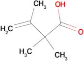 2,2,3-trimethyl-3-butenoic acid