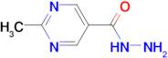 2-methyl-5-pyrimidinecarbohydrazide