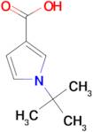 1-tert-butyl-1H-pyrrole-3-carboxylic acid