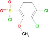 3,4-dichloro-2-methoxybenzenesulfonyl chloride