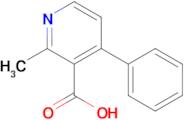 2-methyl-4-phenylnicotinic acid