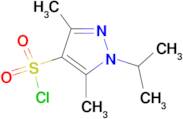 1-isopropyl-3,5-dimethyl-1H-pyrazole-4-sulfonyl chloride