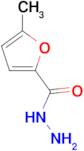 5-methyl-2-furohydrazide