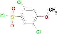 2,5-dichloro-4-methoxybenzenesulfonyl chloride