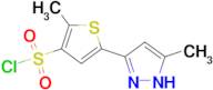 2-methyl-5-(3-methyl-1H-pyrazol-5-yl)-3-thiophenesulfonyl chloride