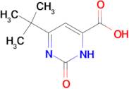6-tert-butyl-2-hydroxy-4-pyrimidinecarboxylic acid