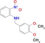 (3,4-dimethoxybenzyl)(2-nitrophenyl)amine