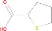 tetrahydro-2-thiophenecarboxylic acid