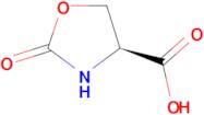 (4S)-2-Oxo-oxazolidine-4-carboxylic acid