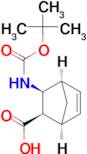 rac-(1S,2R,3S,4R)-3-[(tert-butoxycarbonyl)amino]bicyclo[2.2.1]hept-5-ene-2-carboxylic acid