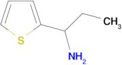 [1-(2-thienyl)propyl]amine