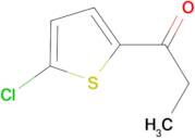 1-(5-chloro-2-thienyl)propan-1-one