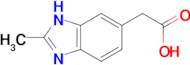 (2-methyl-1H-benzimidazol-5-yl)acetic acid