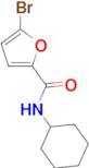 5-bromo-N-cyclohexyl-2-furamide