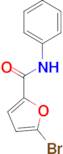 5-bromo-N-phenyl-2-furamide
