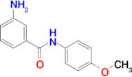 3-amino-N-(4-methoxyphenyl)benzamide