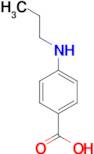 4-(propylamino)benzoic acid