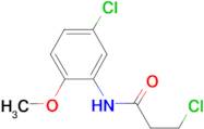 3-chloro-N-(5-chloro-2-methoxyphenyl)propanamide