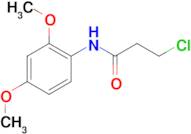 3-chloro-N-(2,4-dimethoxyphenyl)propanamide