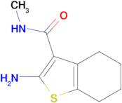 2-amino-N-methyl-4,5,6,7-tetrahydro-1-benzothiophene-3-carboxamide