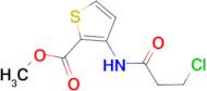 methyl 3-[(3-chloropropanoyl)amino]-2-thiophenecarboxylate