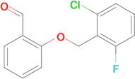 2-[(2-chloro-6-fluorobenzyl)oxy]benzaldehyde