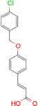 (2E)-3-{4-[(4-chlorobenzyl)oxy]phenyl}acrylic acid