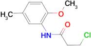 3-chloro-N-(2-methoxy-5-methylphenyl)propanamide